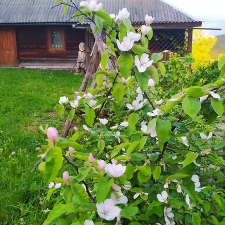 Starovitska Hata - Ethno-cottage & Veranda - Lodge *