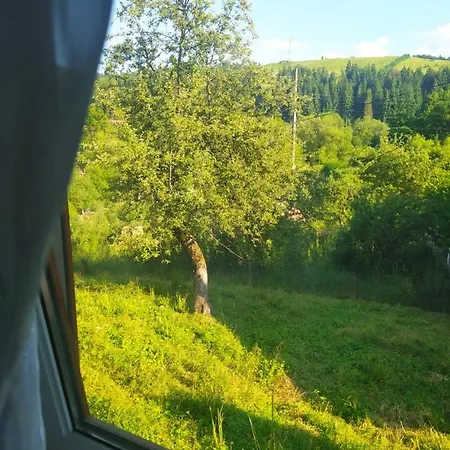 Starovitska Hata - Ethno-cottage & Veranda - Lodge