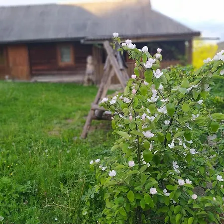 Lodge Starovitska Hata - Ethno-cottage & Veranda - Verkhovyna