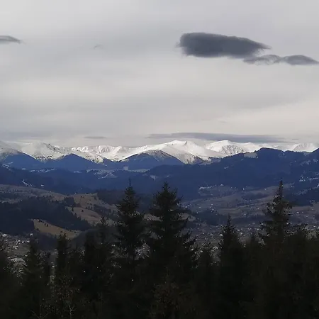 Starovitska Hata - Ethno-cottage Verkhovyna