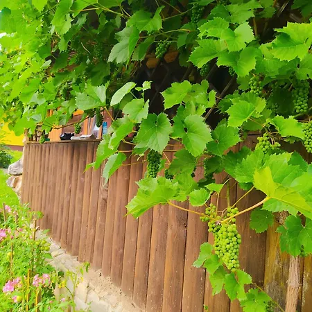 Starovitska Hata - Ethno-cottage Lodge Verkhovyna