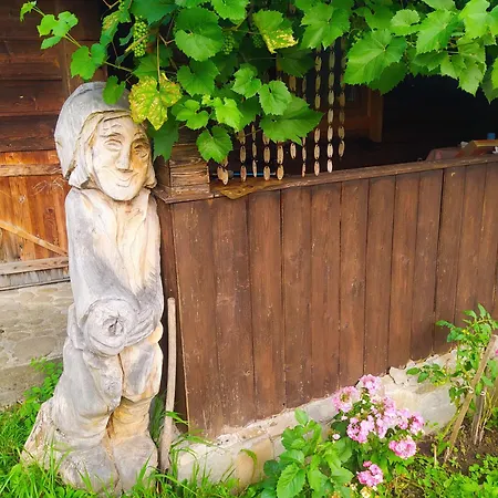 Starovitska Hata - Ethno-cottage & Veranda - Lodge Verkhovyna