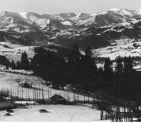 Starovitska Hata - Ethno-cottage & Veranda - * Verkhovyna