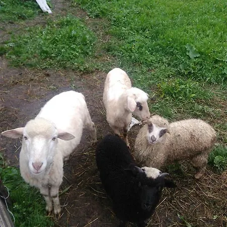 Starovitska Hata - Ethno-cottage Lodge