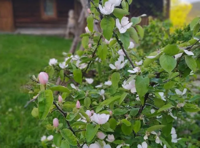 Starovitska Hata - Ethno-cottage ורחובינה