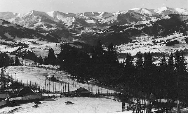 Starovitska Hata - Ethno-cottage * ヴェルホヴィナ