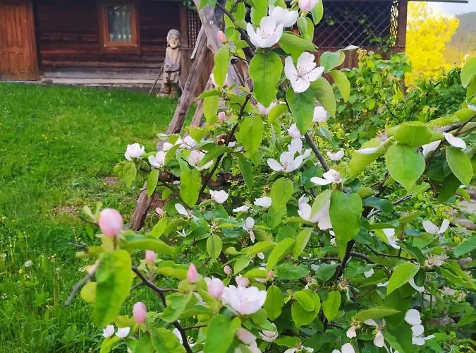 Starovitska Hata - Ethno-cottage Chata *