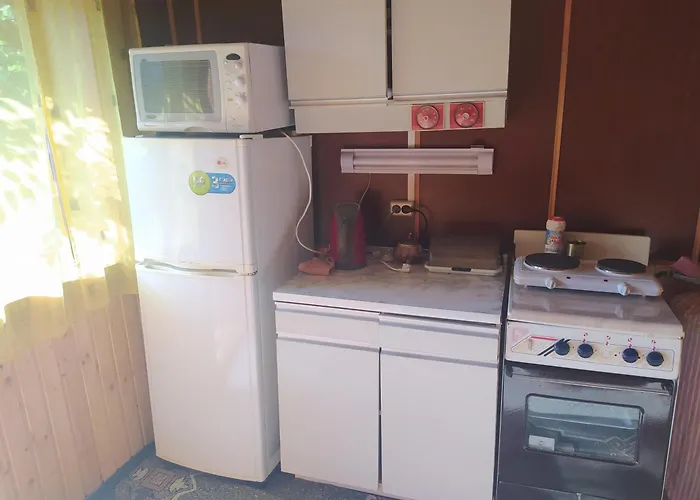 Starovitska Hata - Ethno-cottage * Verchovyna